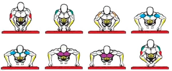 position in pullup