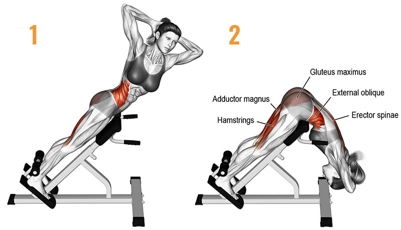 AB/HYPER BENCH PRO Adjustable Hyper-Extension Back Exercise Roman Chair Workout 