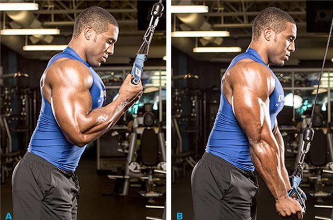 Triceps extensions reverse grip 