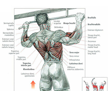 Power Tower Workout Chart